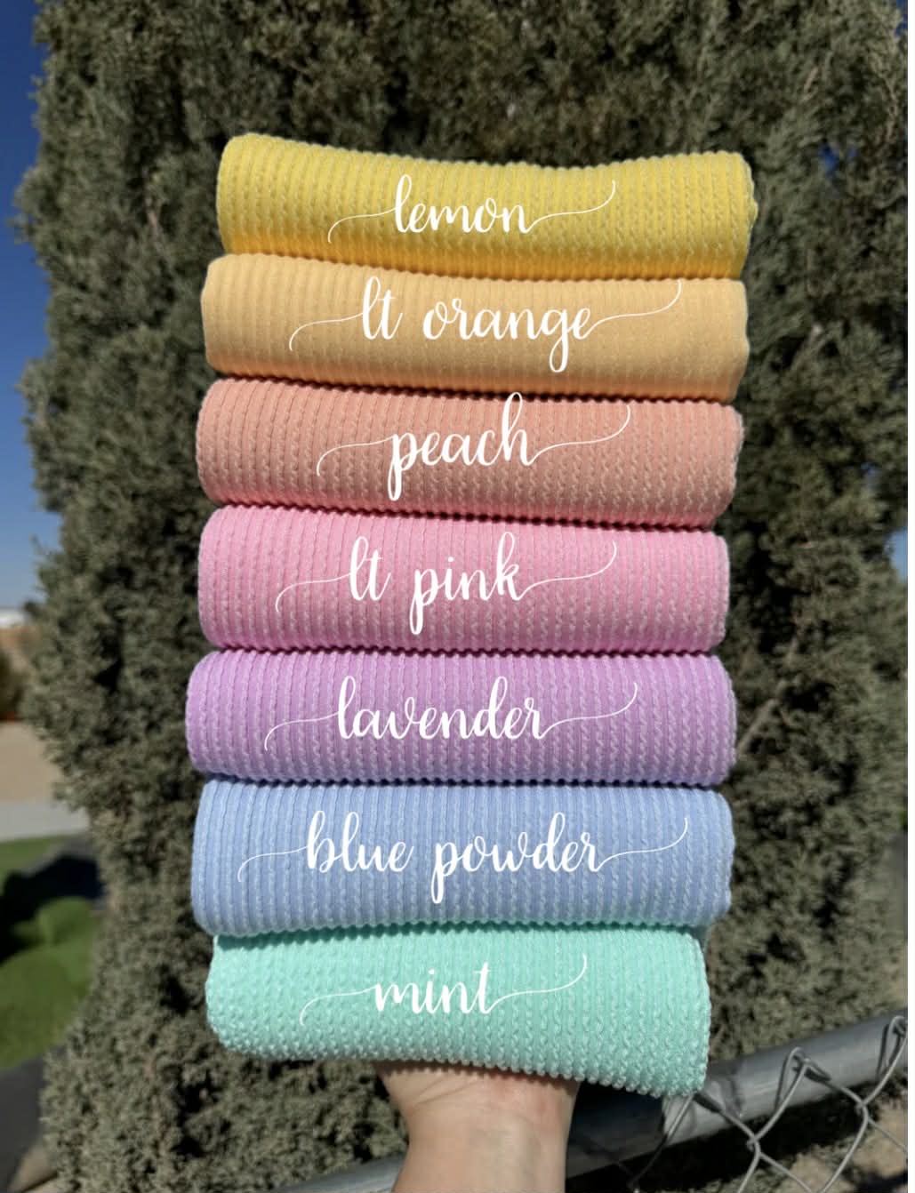 Spring waved bow BUNDLE