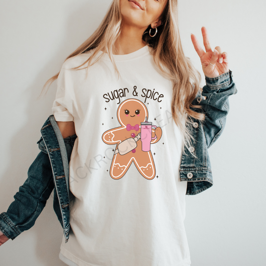 Sugar and spice comfort colors t-shirt