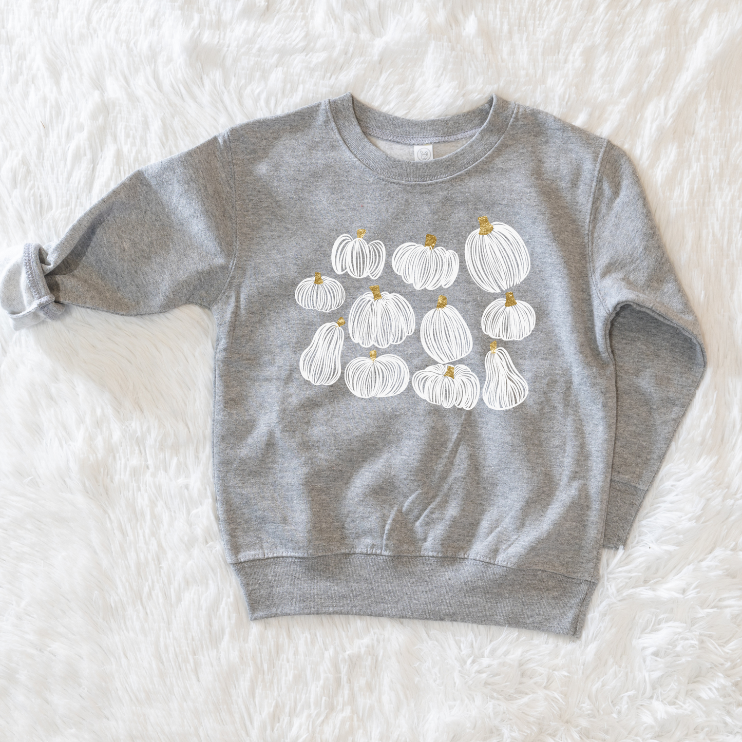 Pumpkins toddler sweatshirt